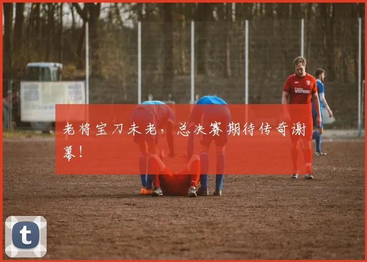 老将宝刀未老,总决赛期待传奇谢幕!