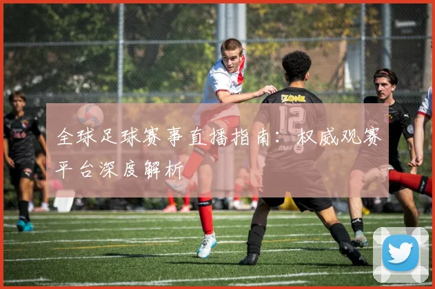 全球足球赛事直播指南：权威观赛平台深度解析