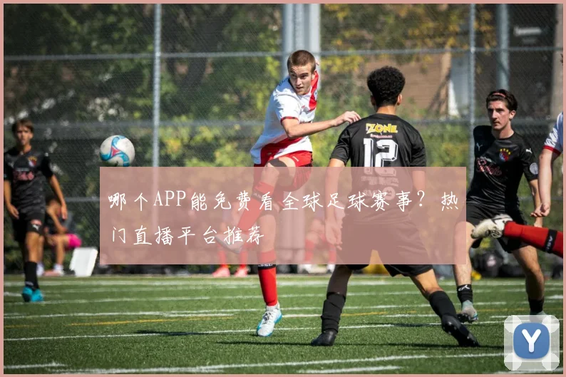 哪个APP能免费看全球足球赛事？热门直播平台推荐